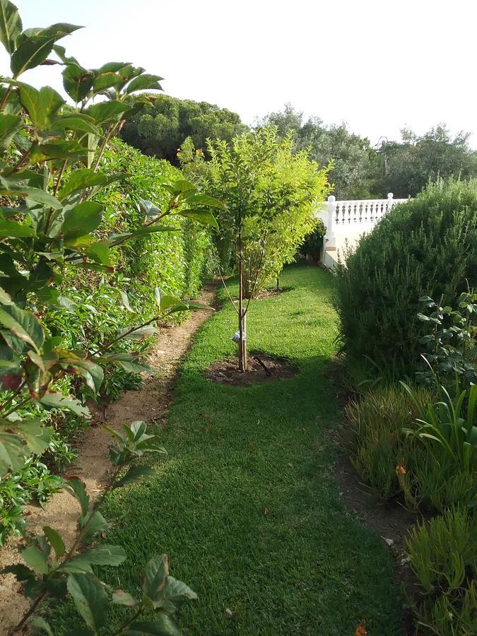 Casa Cereja 'Adults Only' Bed & Breakfast Албуфейра Екстериор снимка